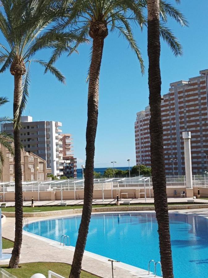 Almar Collection Cullera Bahia Park Leilighet Eksteriør bilde